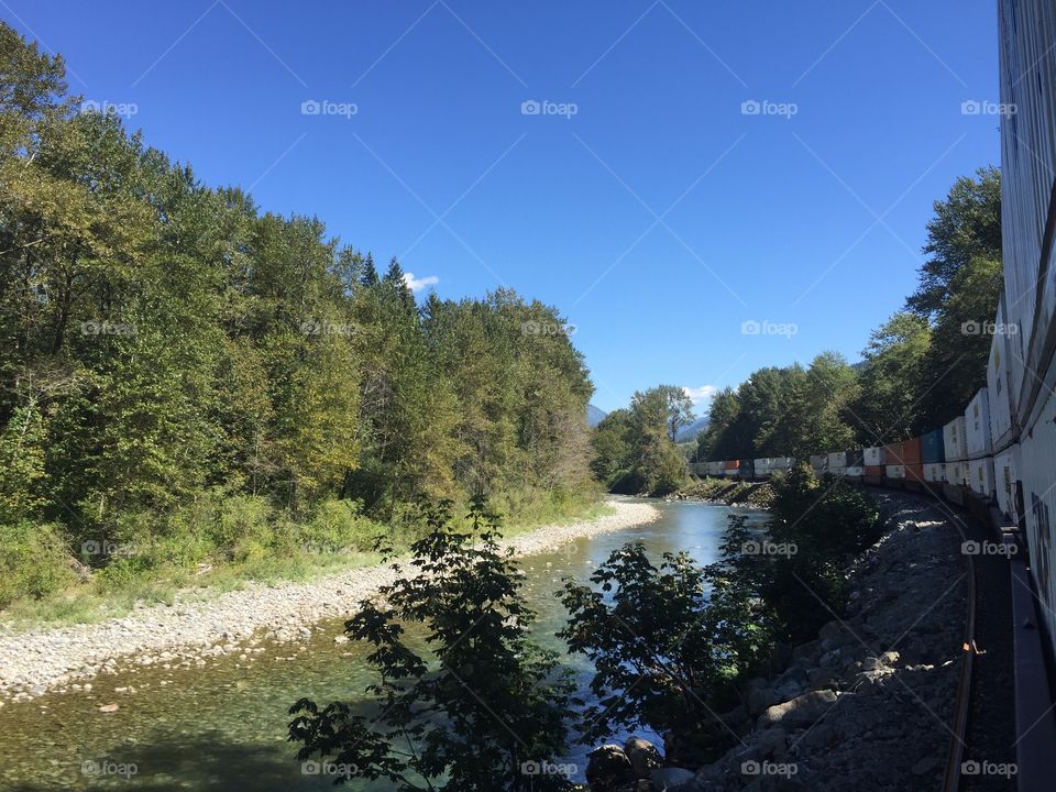 Tree, No Person, Landscape, Water, River