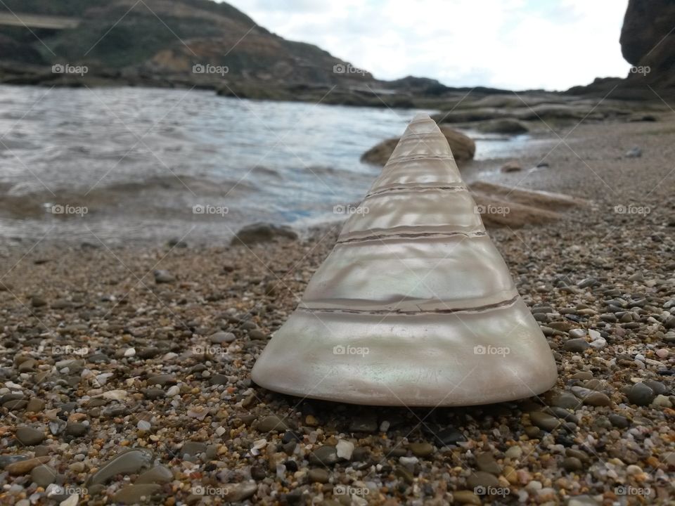 close up of conic seashell in front of the sea