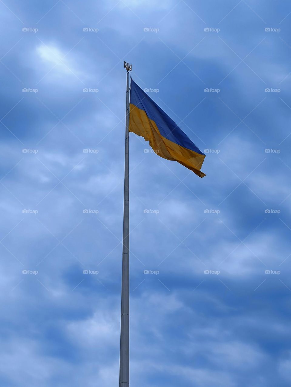 Independence Day. Ukraine. Kyiv .Flag of Ukraine