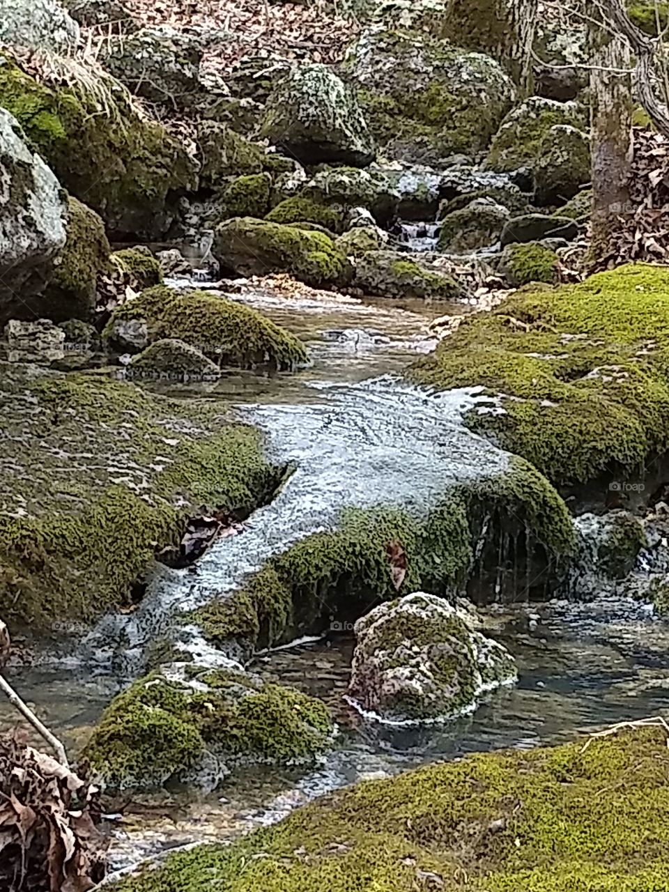 Creek at Bennett Springs State Park.