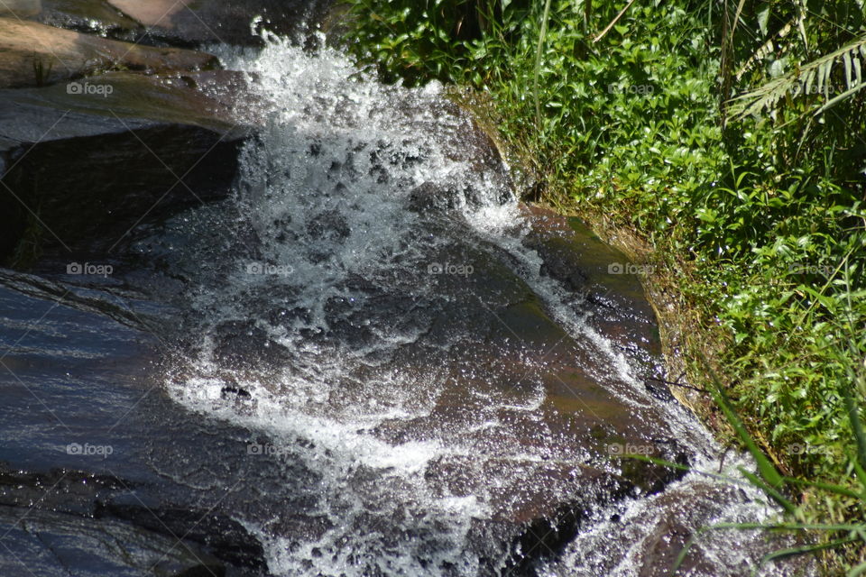 Beautiful water flow through the woods
