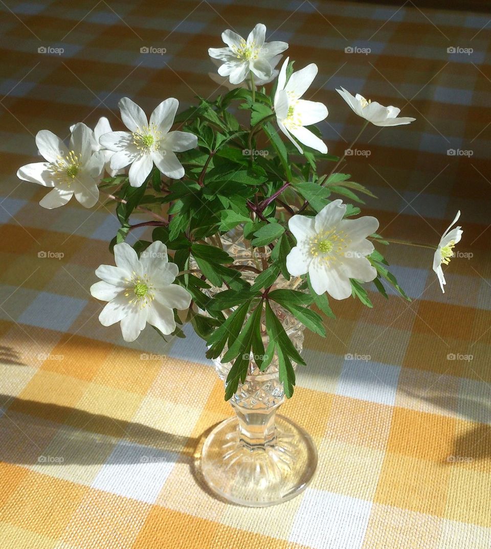 Vitsippor anemones bouquet 