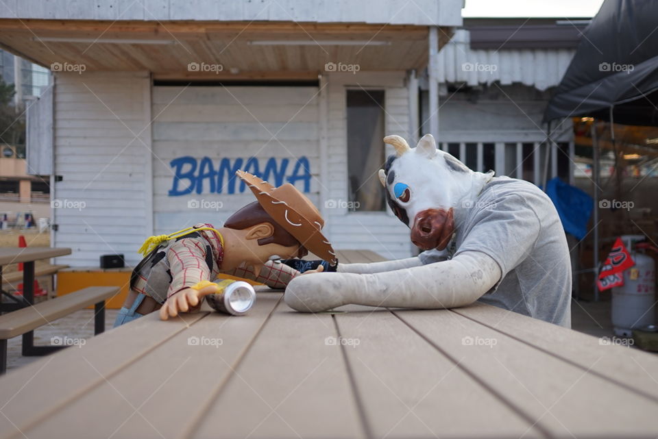 Drunken cow and cowboy on table 