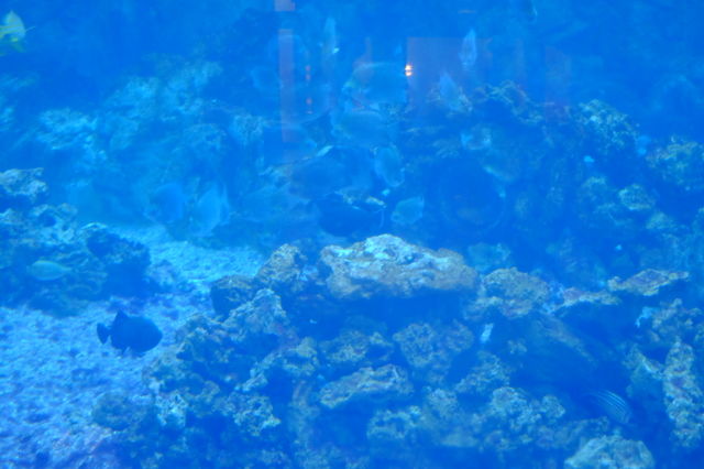 Desktop, Underwater, Abstract, Color, No Person