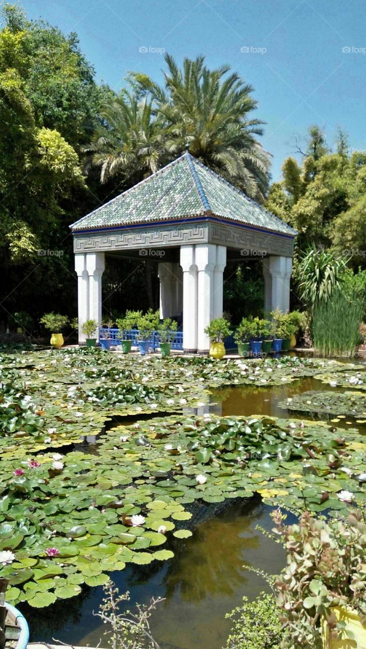 beautiful majorelle garden in Marrakesh city