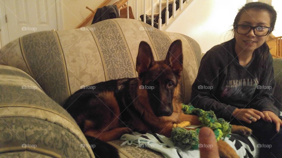 One, Furniture, People, Indoors, Dog