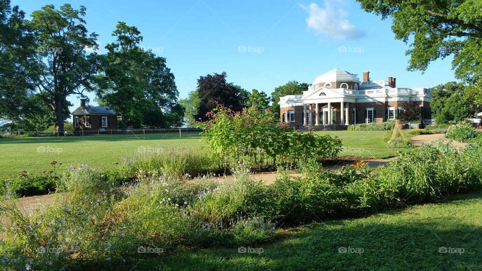 Summer gardens at Monticello