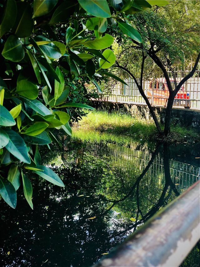 Green world🌲