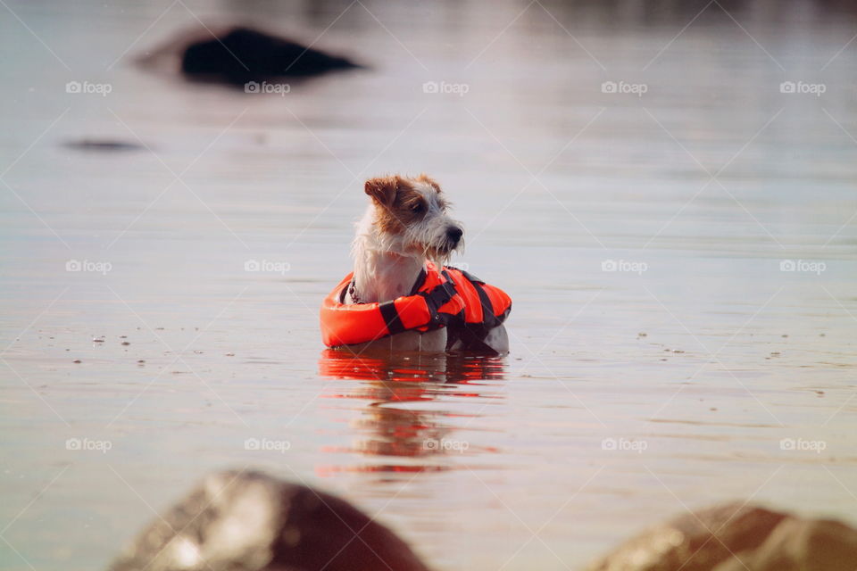 Beach, Water, No Person, Blur, Portrait