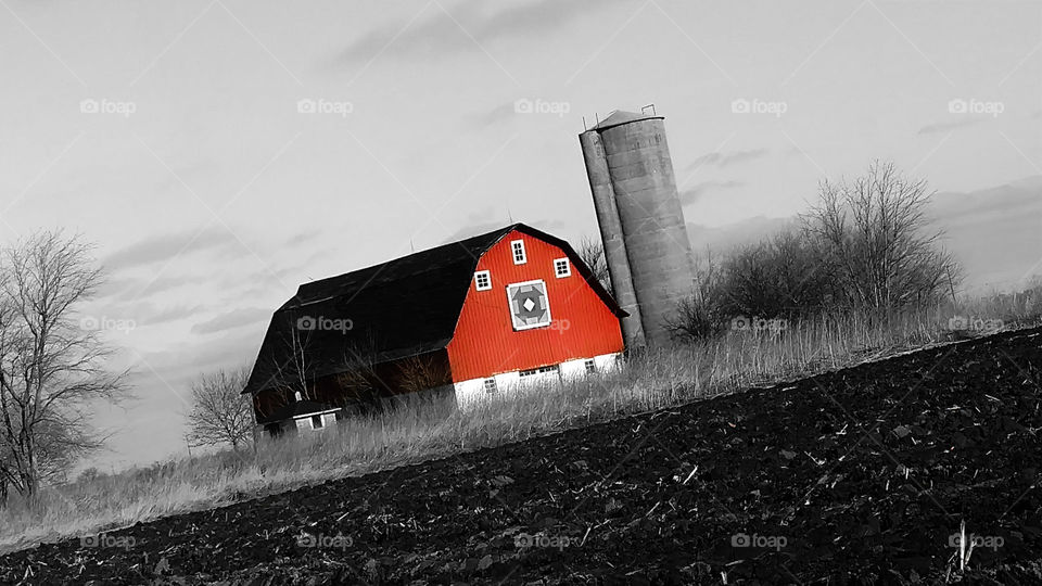 Red Barn