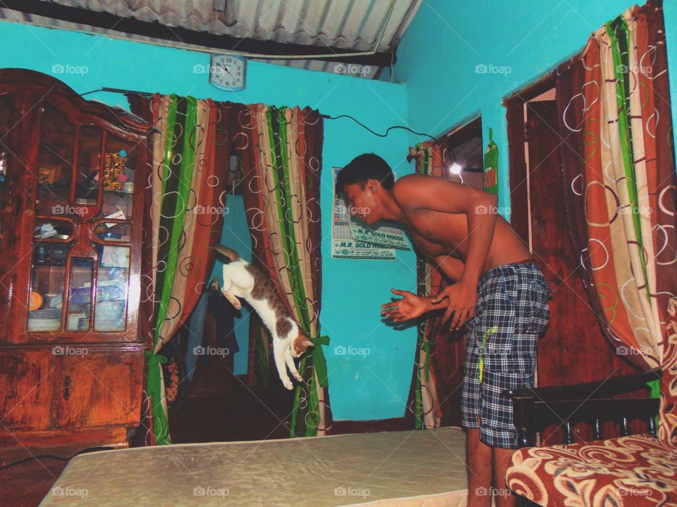 playing with pet