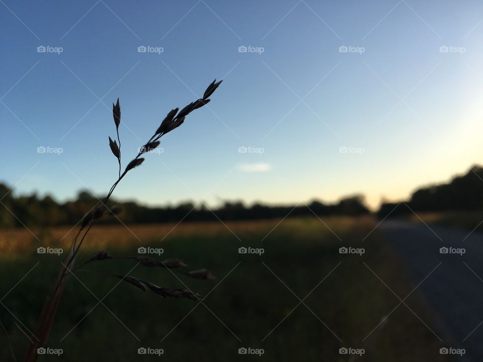 Landscape, Sunset, Sky, Nature, Dawn