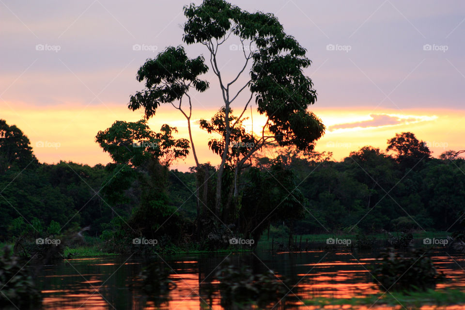 Trees reflected on lake during sunset