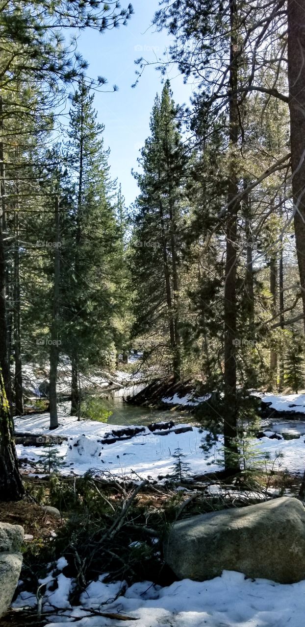 winter stream with snow