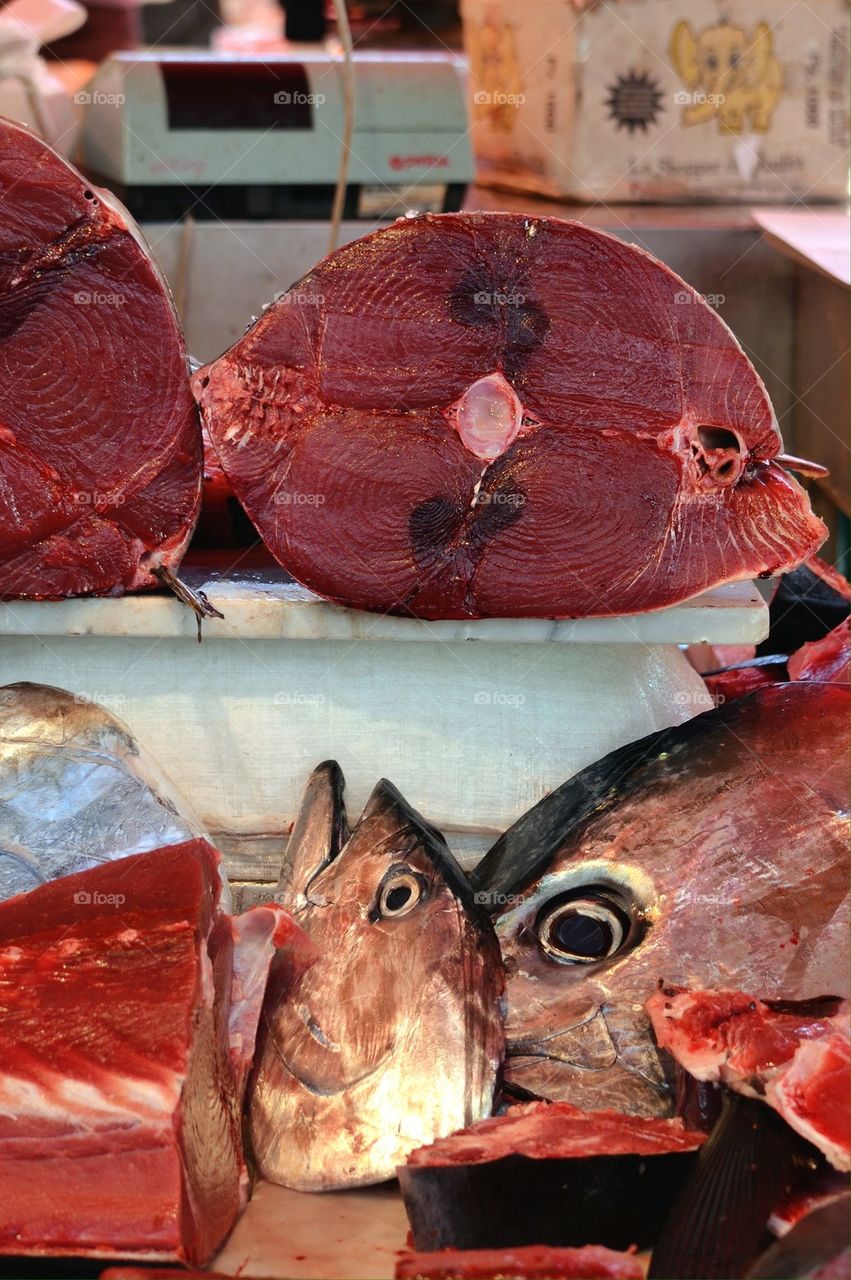 Fish market, Tuna, Sword Fish,