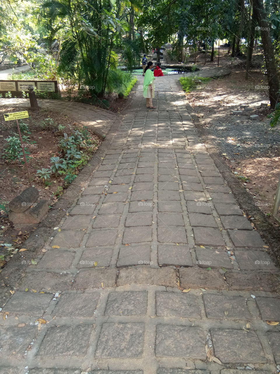 Footpath