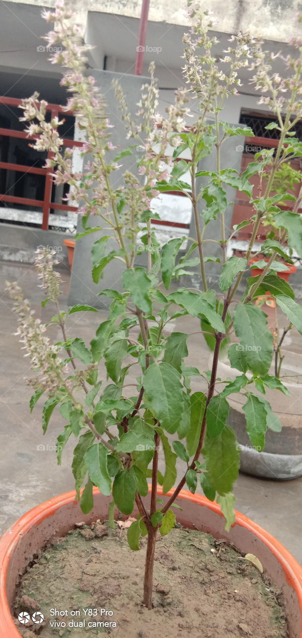 #foap #infoapartemen #foapjuly18 #foapaug18 #foapfeb18 #foapapril17 #foapers #foapjune18 #fotografoaprendiz #sfoapprentices #foaper #infoapartment #foapmission #foapmay18 #foapapr18 #foapit #infoaplikasipaytren #infoapple #foapom #foapjan19 #infoapp 