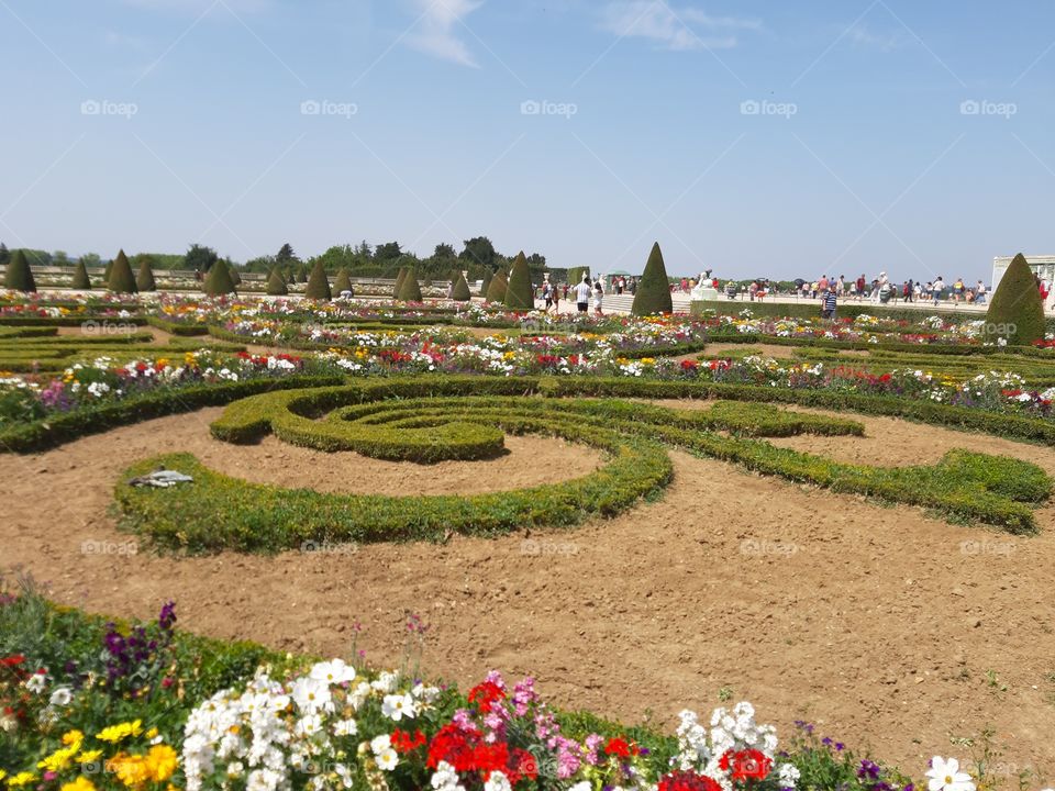 Gardens at Versailles