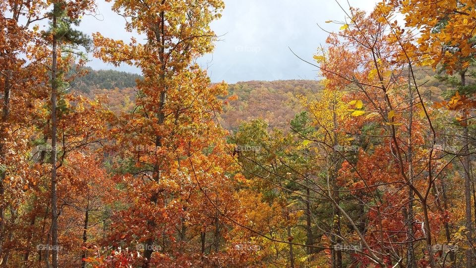 Rainbow Falls Trail