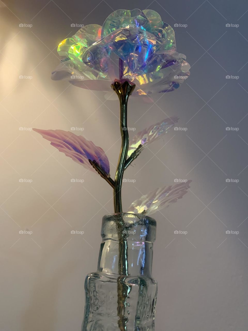 Iridescent rose in glass vase