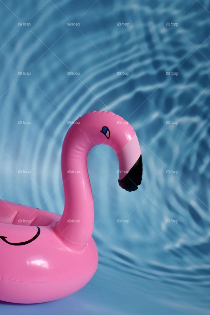 Pink flamingo 