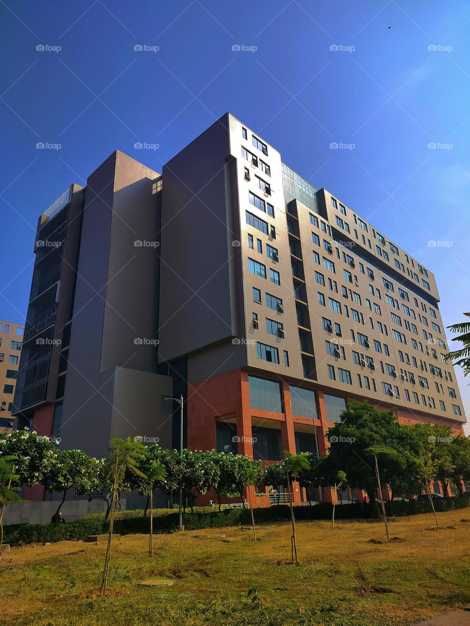 Building and their structures