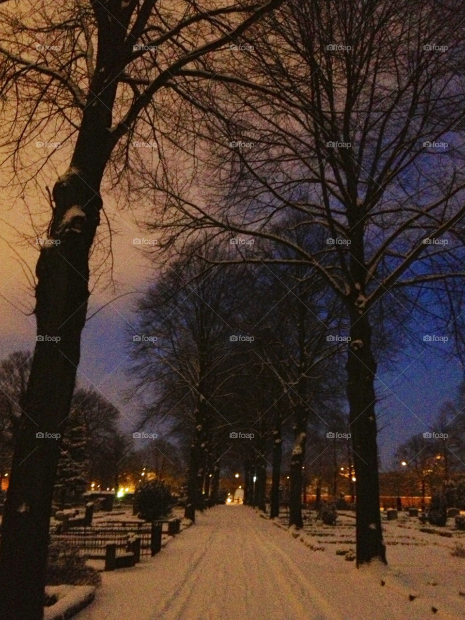 snow winter sky light by cabday