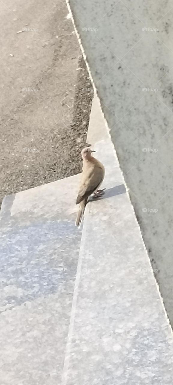 step by step climbing