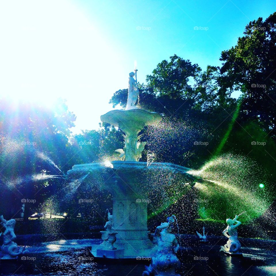 Savannah fountain 