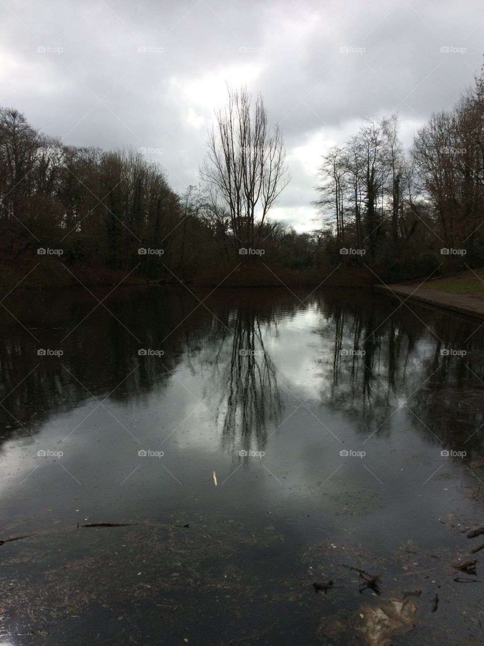 The reflection at Duncan Park - Lisburn, N. Ireland