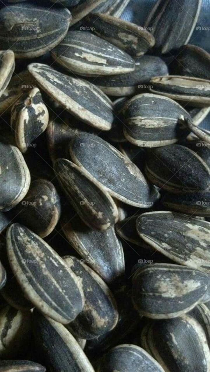 Sunflower Seeds