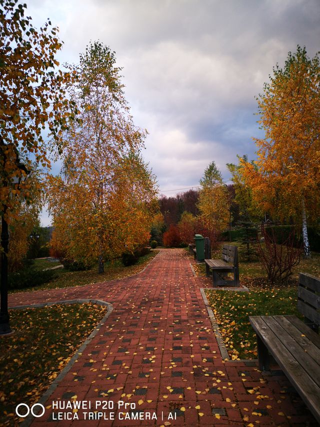 alley