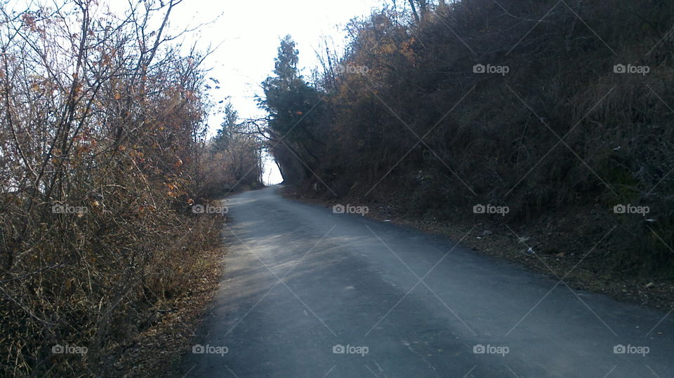 Road, Landscape, No Person, Winter, Snow