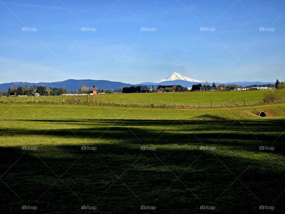 Mt Hood Oregon