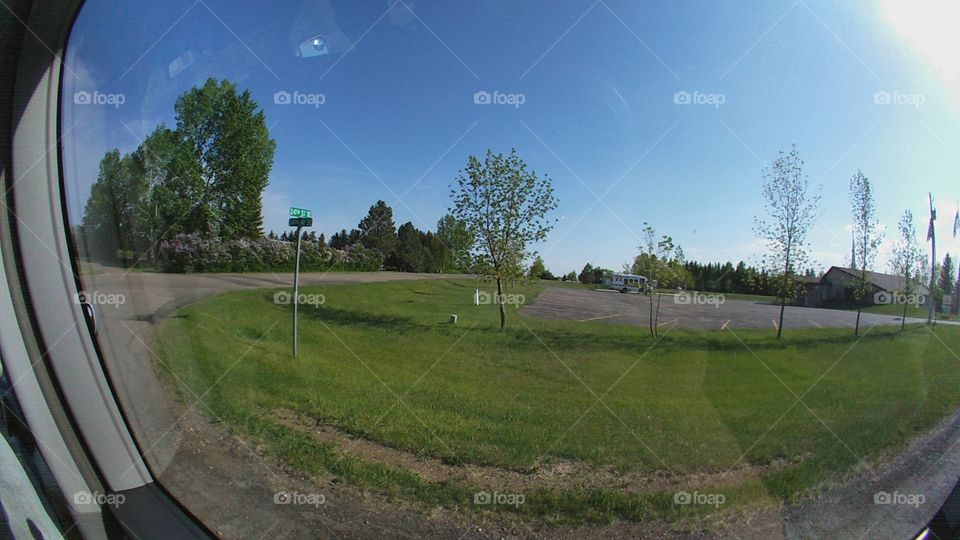Tree, Landscape, Road, No Person, Grass
