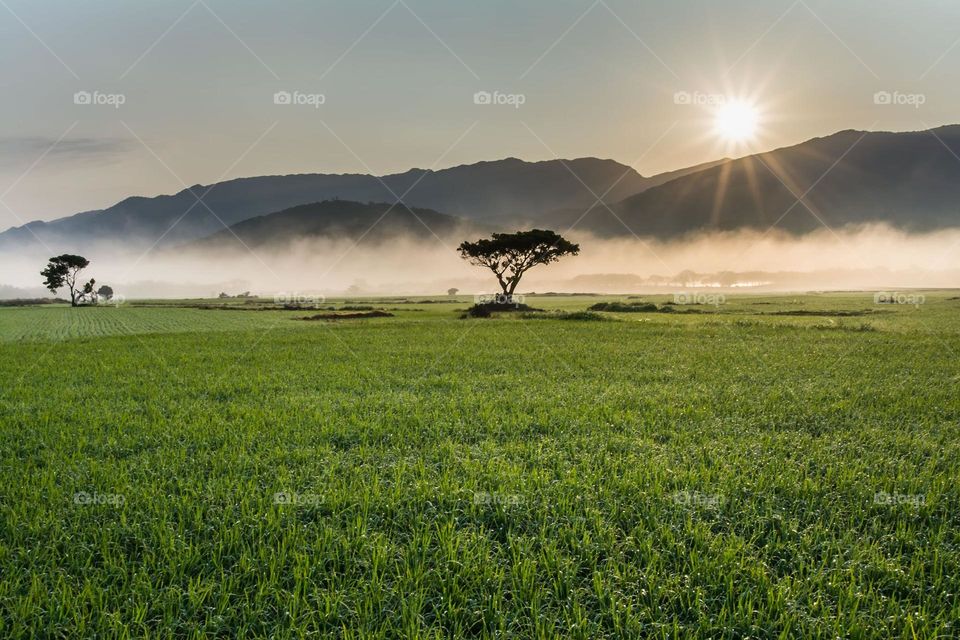 Beautiful mountain and country side natural landscape