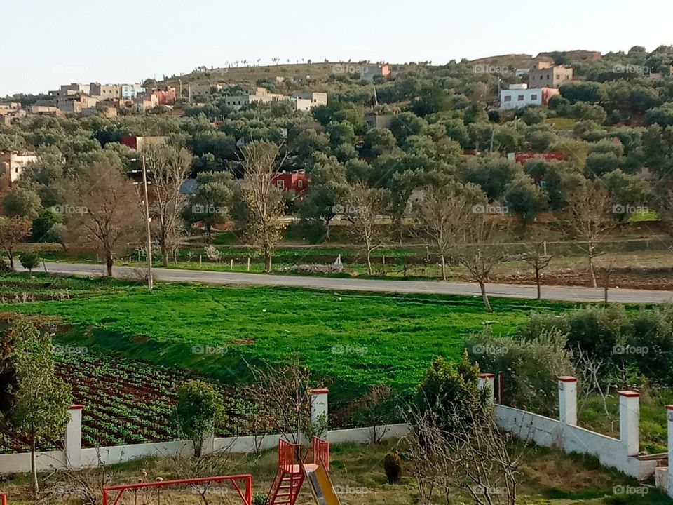 Population between the nature