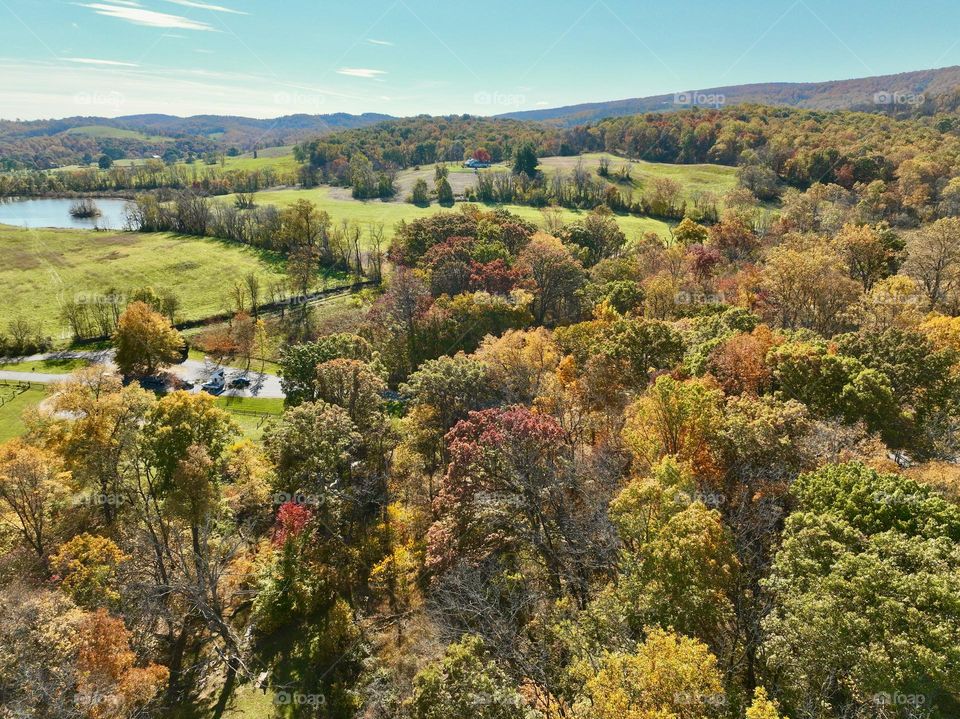 An aerial view of autumn’s colorful patchwork, stretching across rolling hills and peaceful meadows.