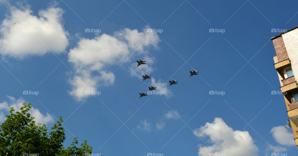 Flight, Sky, Airplane, Bird, Flying