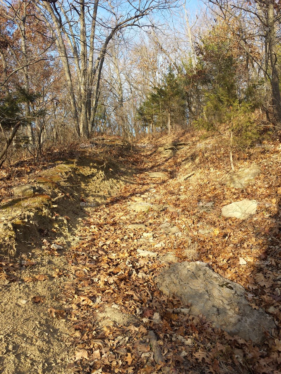 monkey mountain views