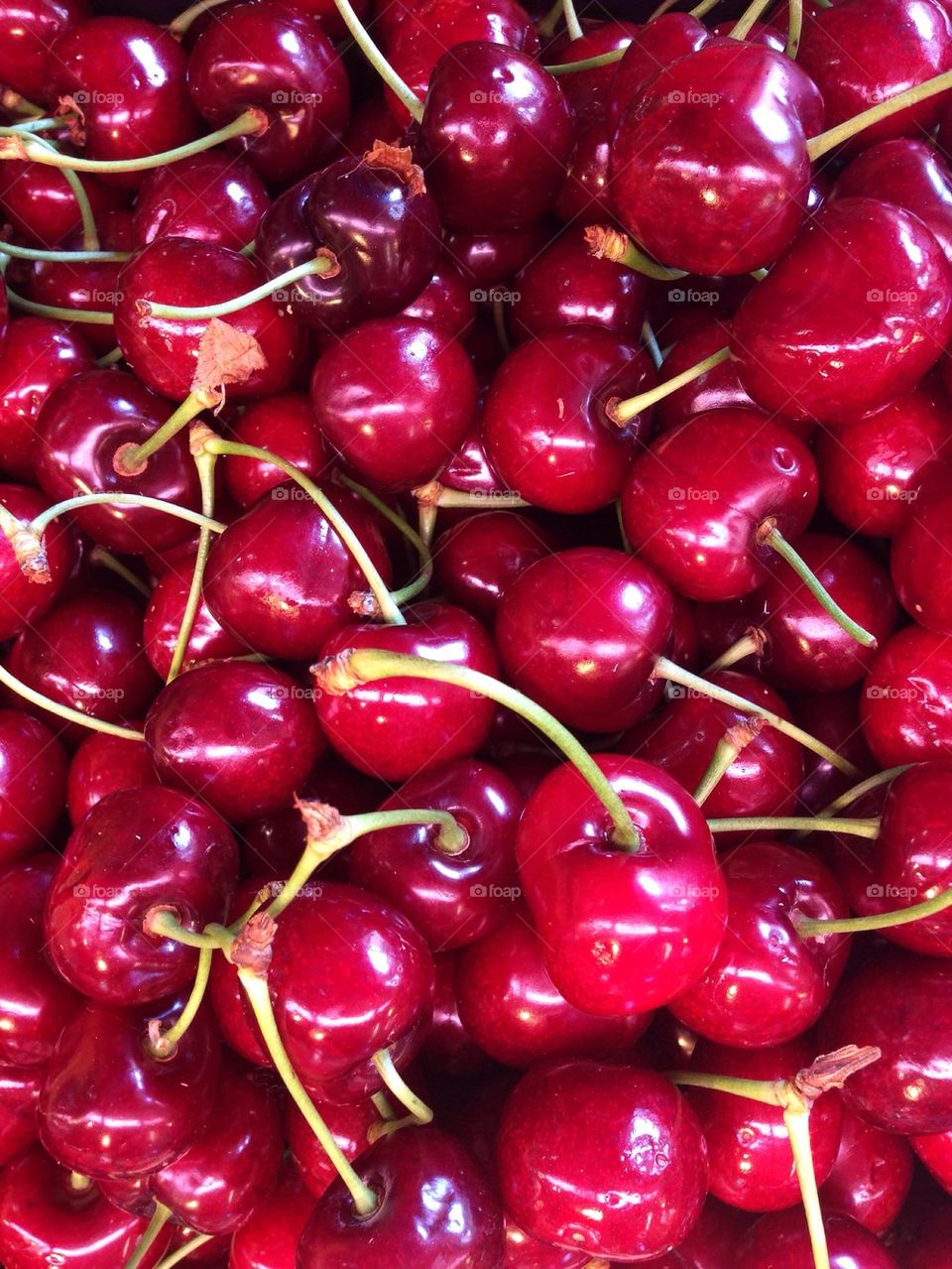 Close-up of red cherries