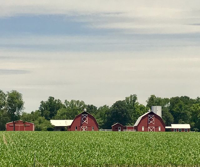 Farm Buildings