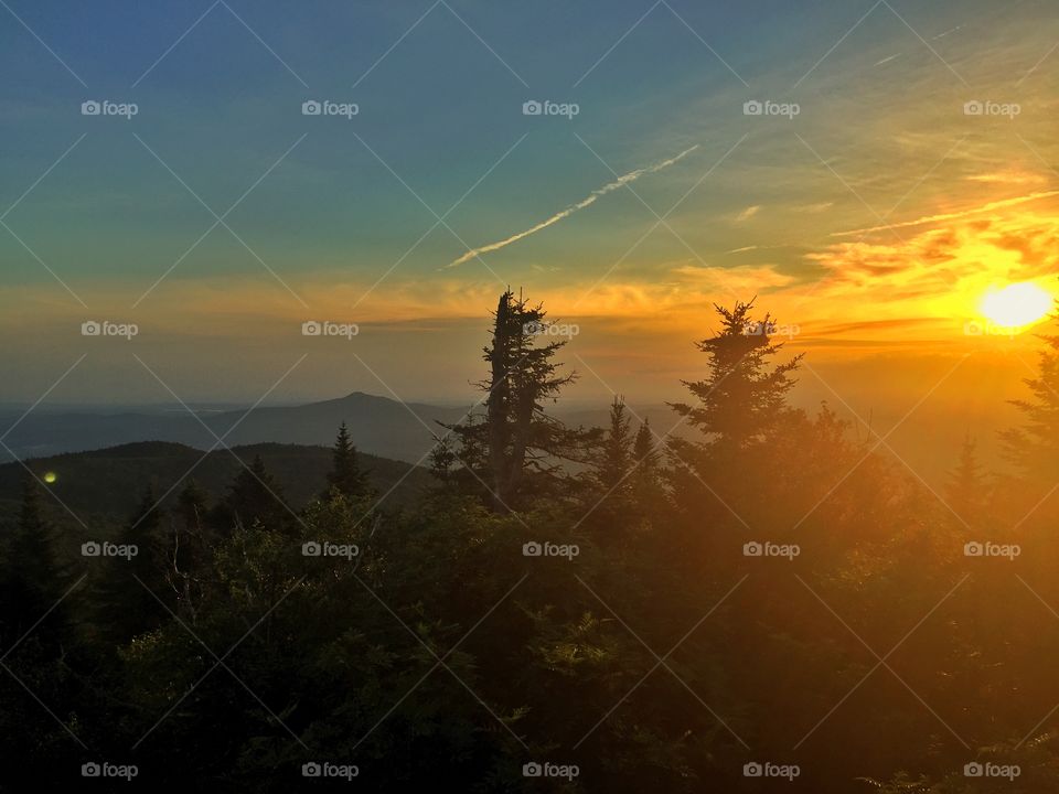 Sunset, Dawn, Landscape, Evening, Tree