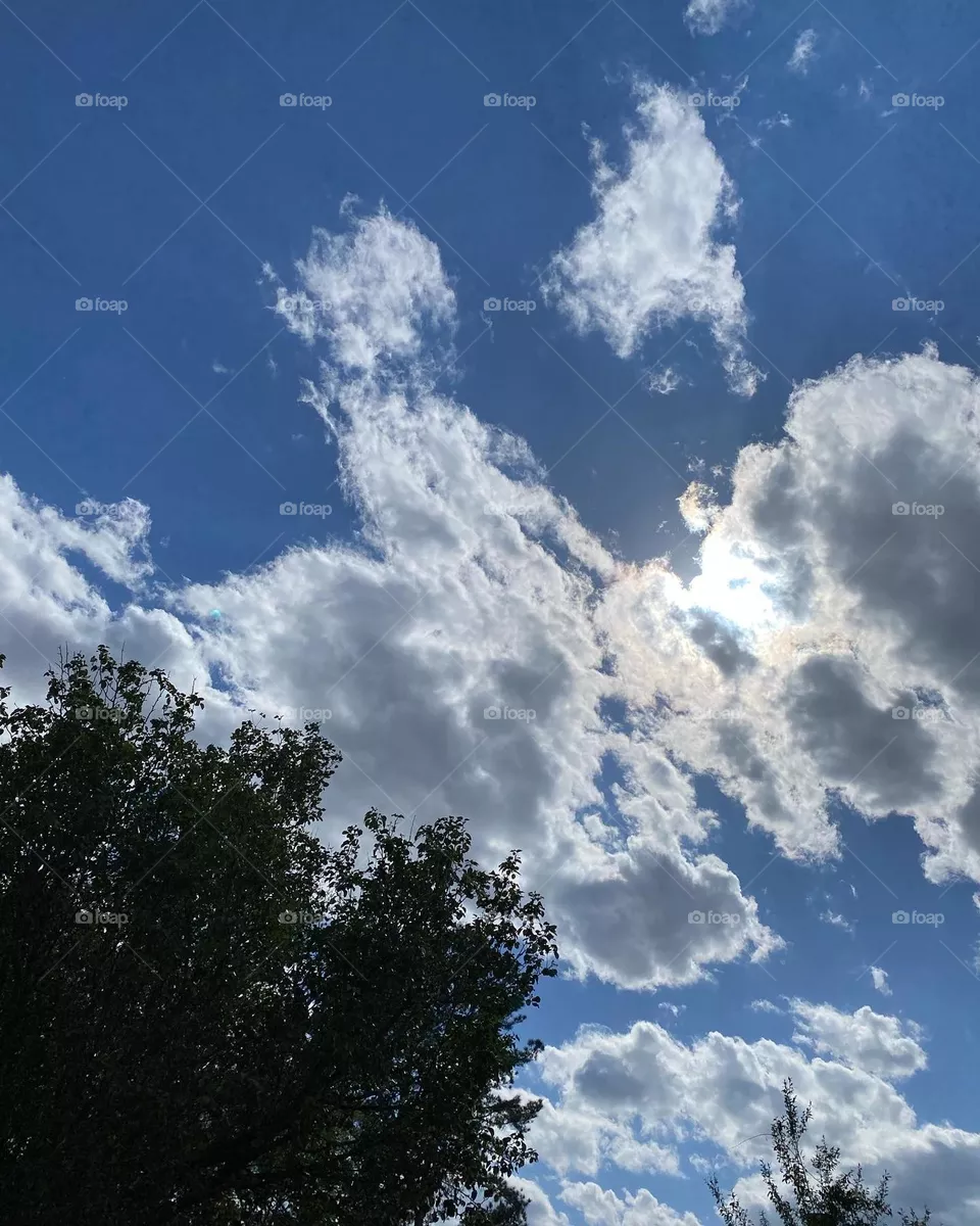 Cloudy sky 