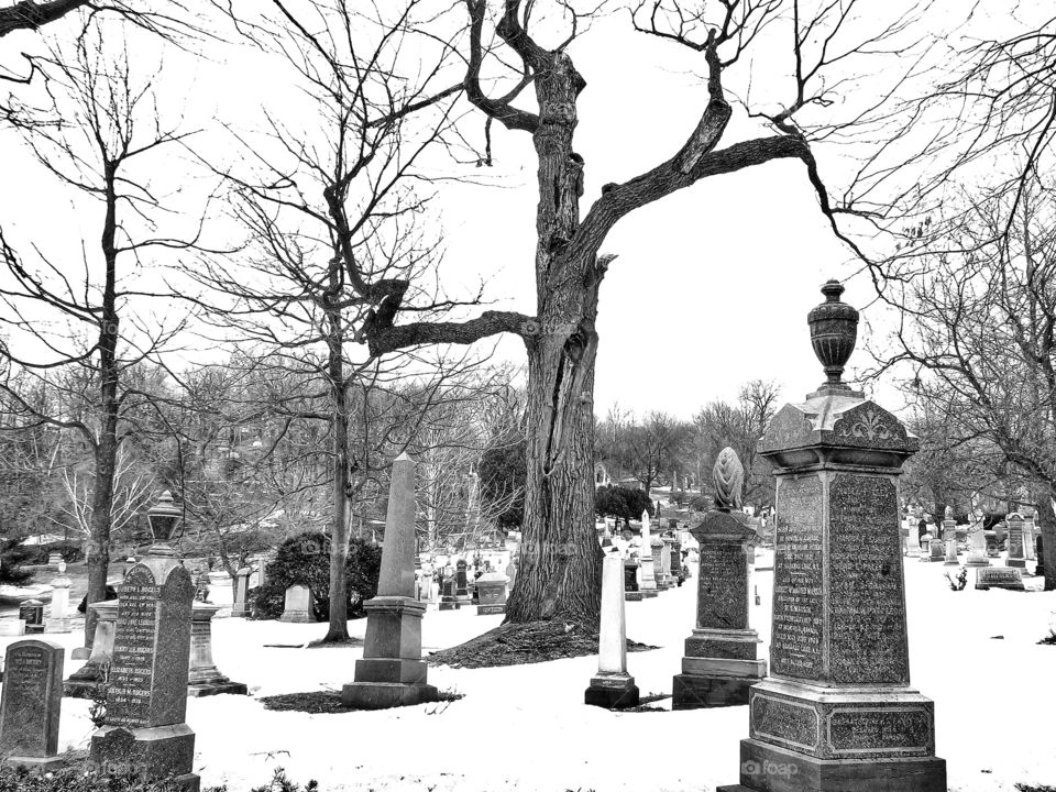 Mount Royal cemetery Montreal 