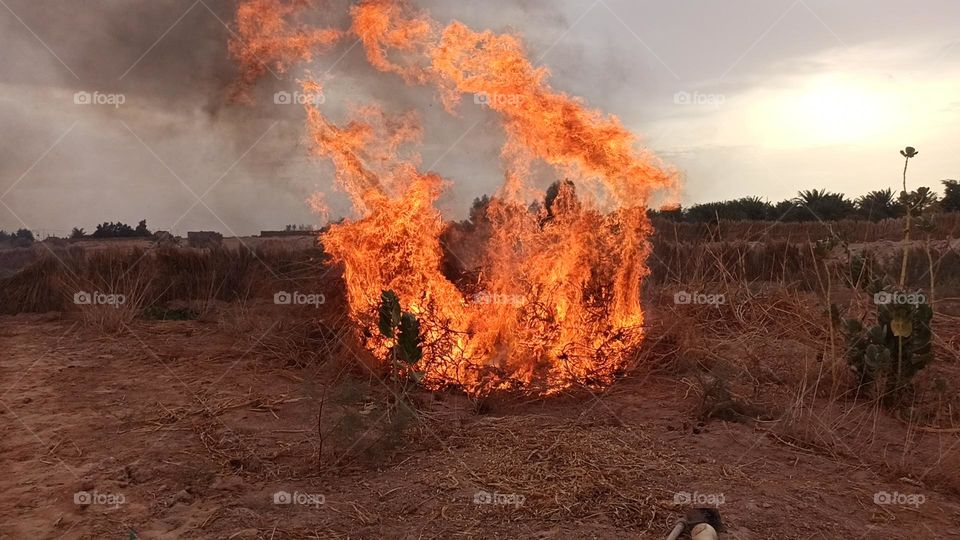 This flame of fire is very similar to a cancer cell