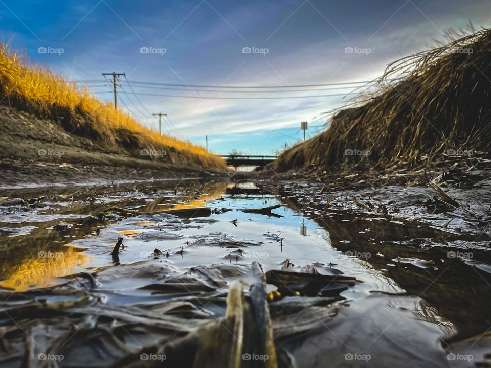 Drought in the ditch.