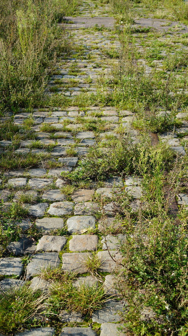 Cobblestone road with weed
