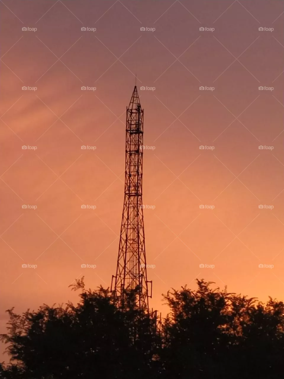 tower