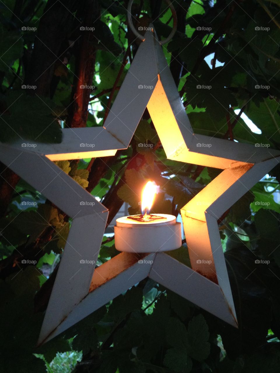 Candle in the wind. Star candle 